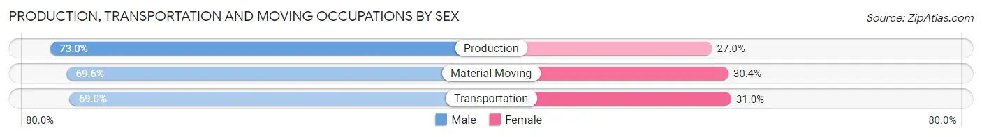 Production, Transportation and Moving Occupations by Sex in Zip Code 08096
