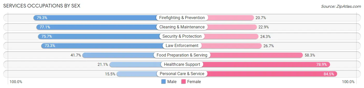 Services Occupations by Sex in Zip Code 08096