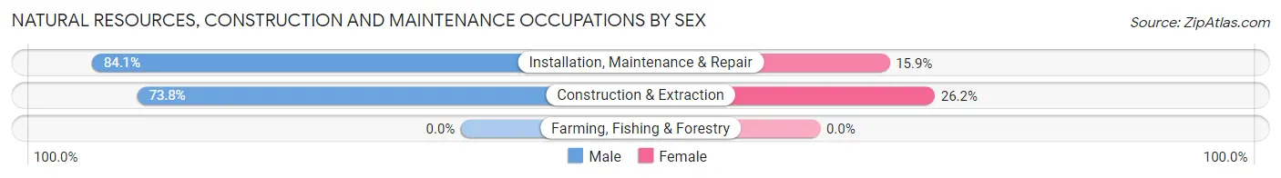 Natural Resources, Construction and Maintenance Occupations by Sex in Zip Code 08097
