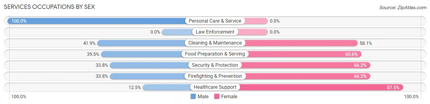 Services Occupations by Sex in Zip Code 08102