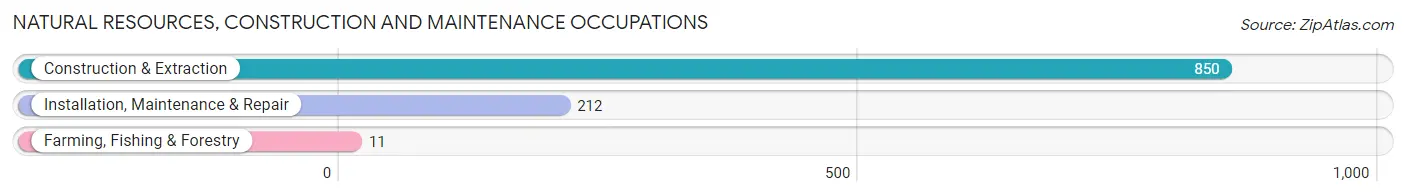 Natural Resources, Construction and Maintenance Occupations in Zip Code 08105