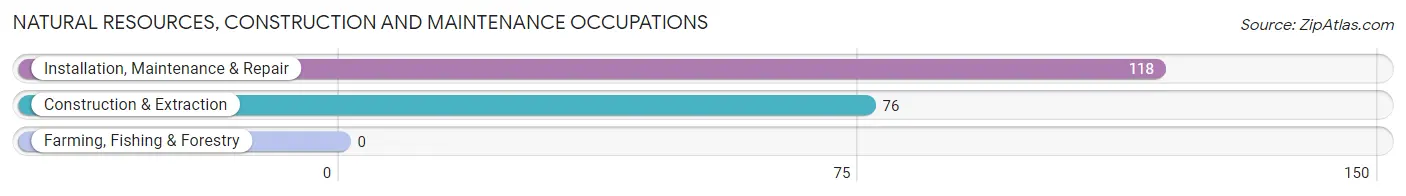 Natural Resources, Construction and Maintenance Occupations in Zip Code 08108