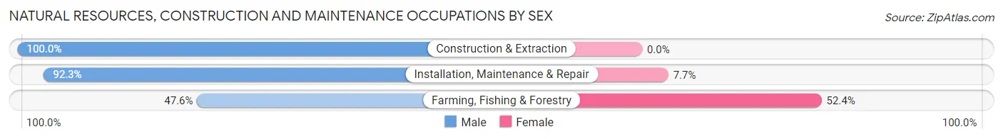 Natural Resources, Construction and Maintenance Occupations by Sex in Zip Code 08109