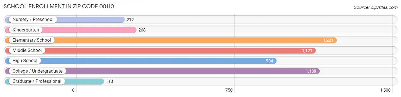 School Enrollment in Zip Code 08110