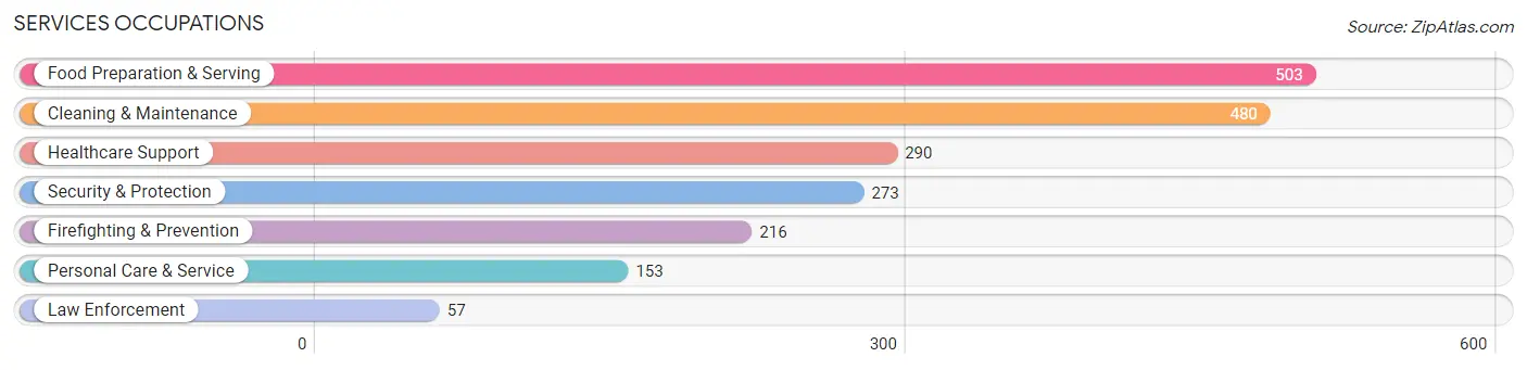 Services Occupations in Zip Code 08110