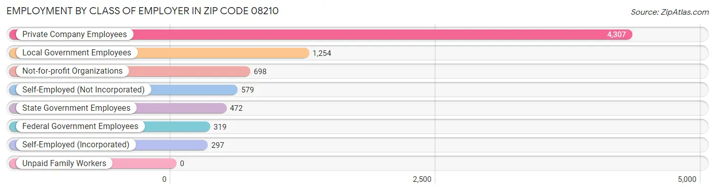 Employment by Class of Employer in Zip Code 08210