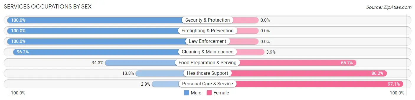 Services Occupations by Sex in Zip Code 08230