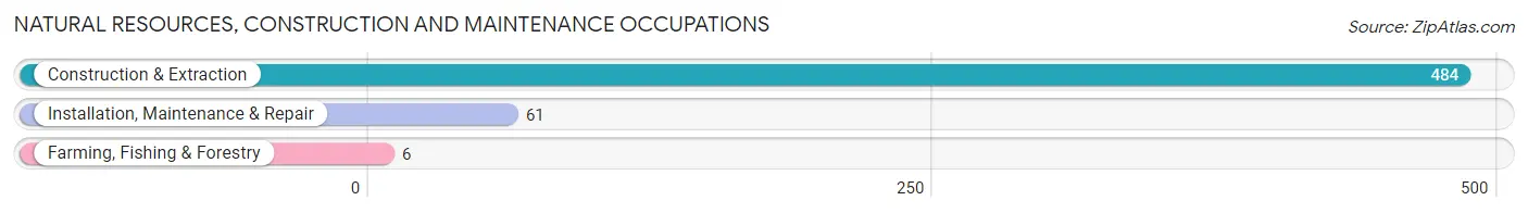 Natural Resources, Construction and Maintenance Occupations in Zip Code 08232