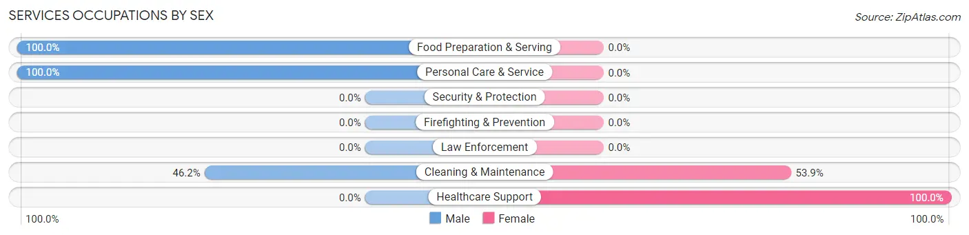Services Occupations by Sex in Zip Code 08242