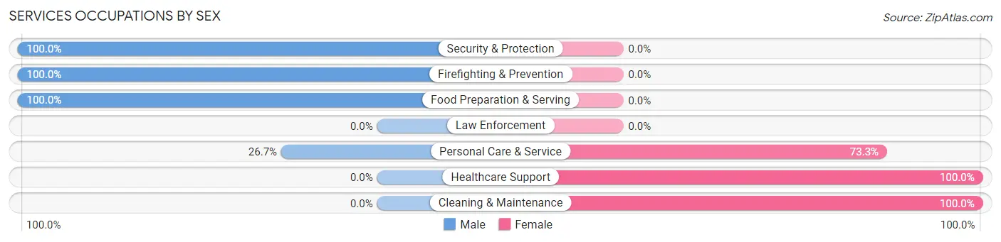 Services Occupations by Sex in Zip Code 08243
