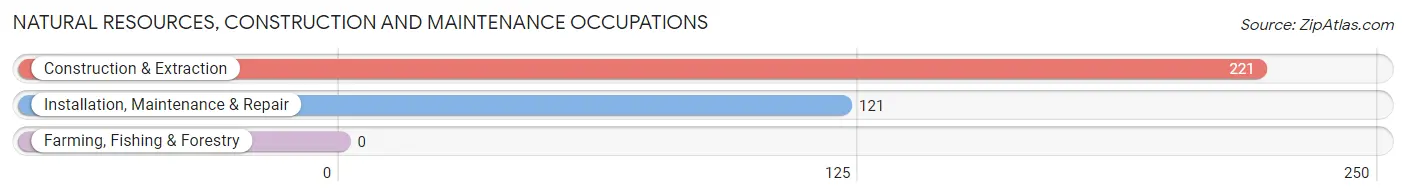 Natural Resources, Construction and Maintenance Occupations in Zip Code 08244