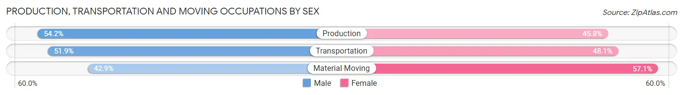 Production, Transportation and Moving Occupations by Sex in Zip Code 08260