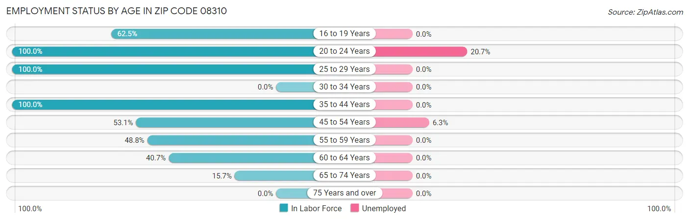 Employment Status by Age in Zip Code 08310