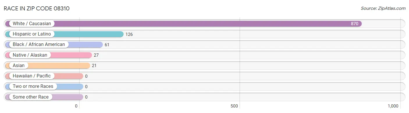 Race in Zip Code 08310
