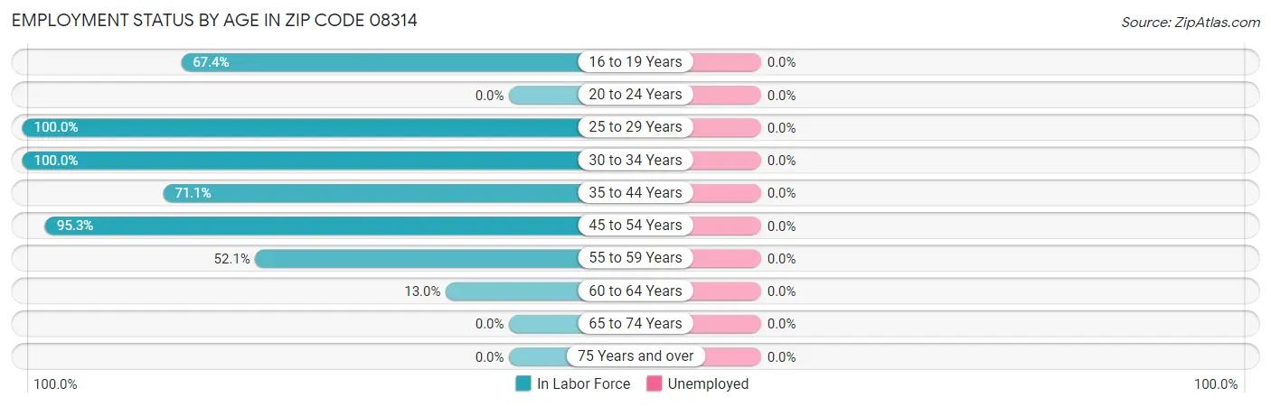 Employment Status by Age in Zip Code 08314