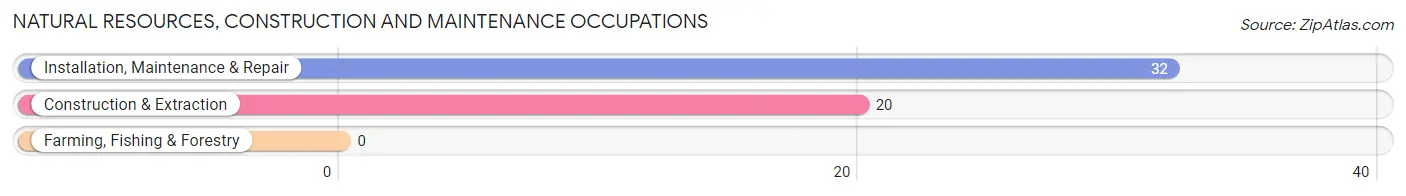 Natural Resources, Construction and Maintenance Occupations in Zip Code 08314