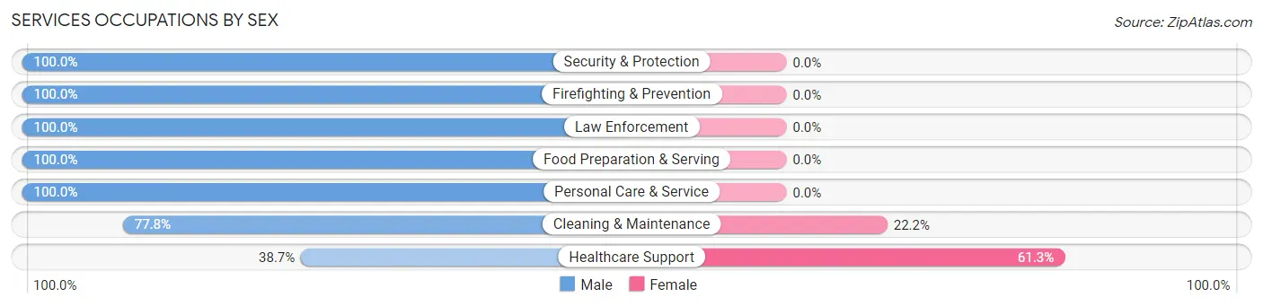 Services Occupations by Sex in Zip Code 08319