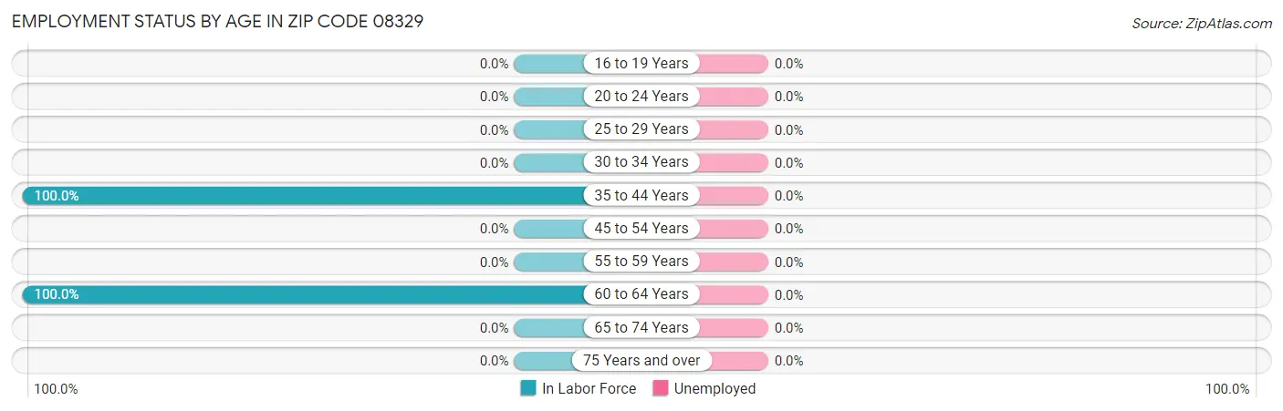 Employment Status by Age in Zip Code 08329