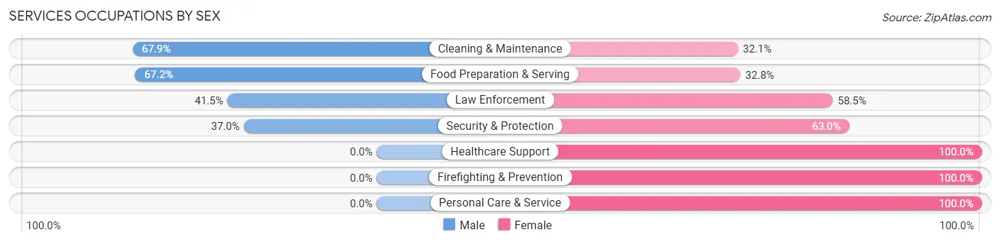 Services Occupations by Sex in Zip Code 08343