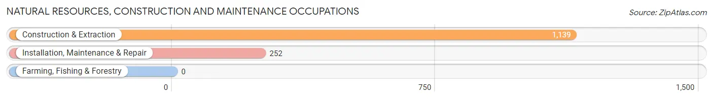 Natural Resources, Construction and Maintenance Occupations in Zip Code 08401