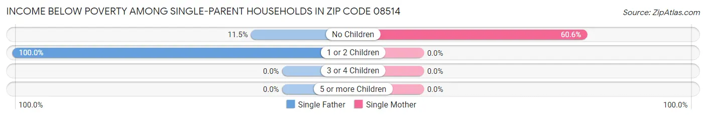 Income Below Poverty Among Single-Parent Households in Zip Code 08514