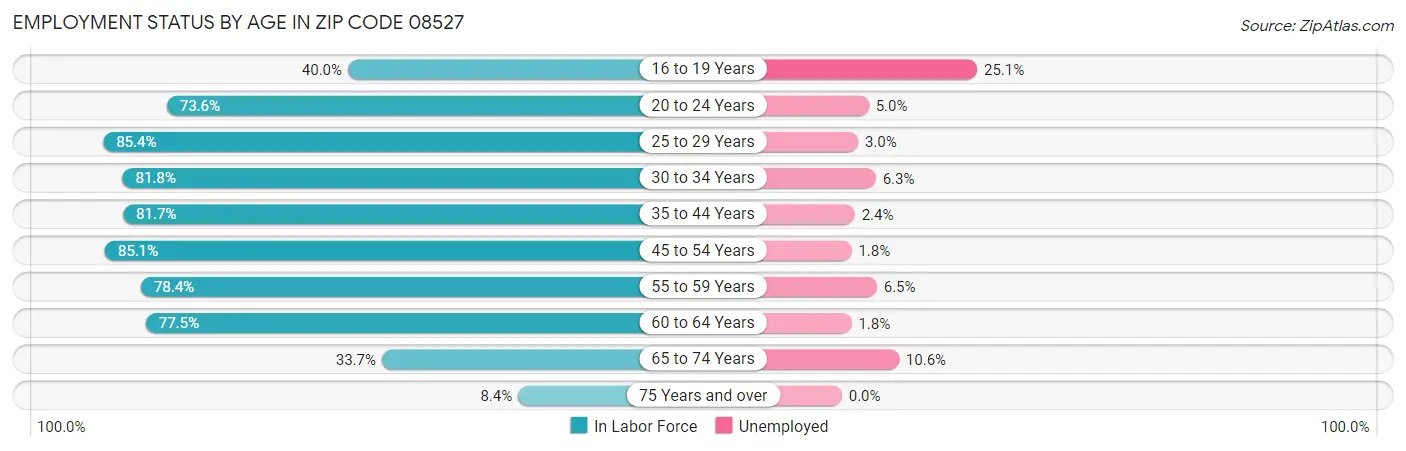 Employment Status by Age in Zip Code 08527