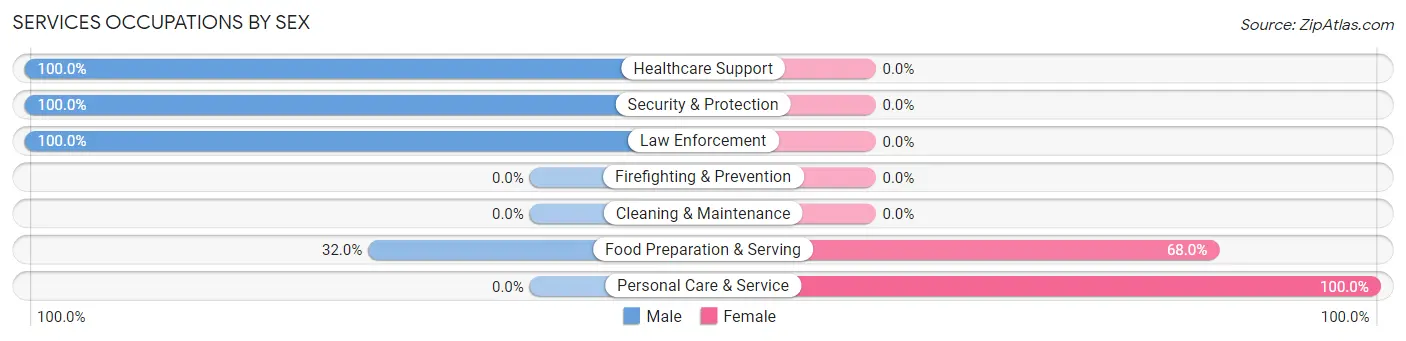 Services Occupations by Sex in Zip Code 08553