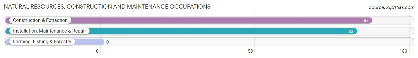 Natural Resources, Construction and Maintenance Occupations in Zip Code 08628