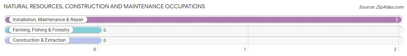 Natural Resources, Construction and Maintenance Occupations in Zip Code 08640