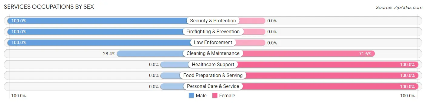 Services Occupations by Sex in Zip Code 08641