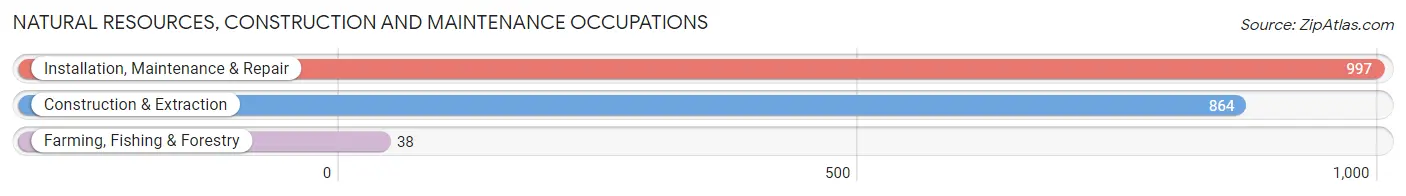 Natural Resources, Construction and Maintenance Occupations in Zip Code 08723