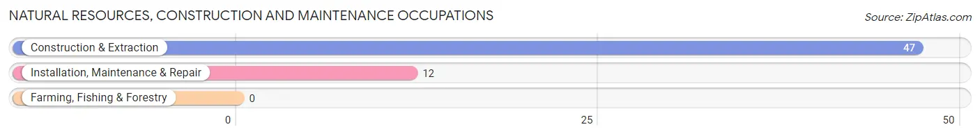 Natural Resources, Construction and Maintenance Occupations in Zip Code 08730