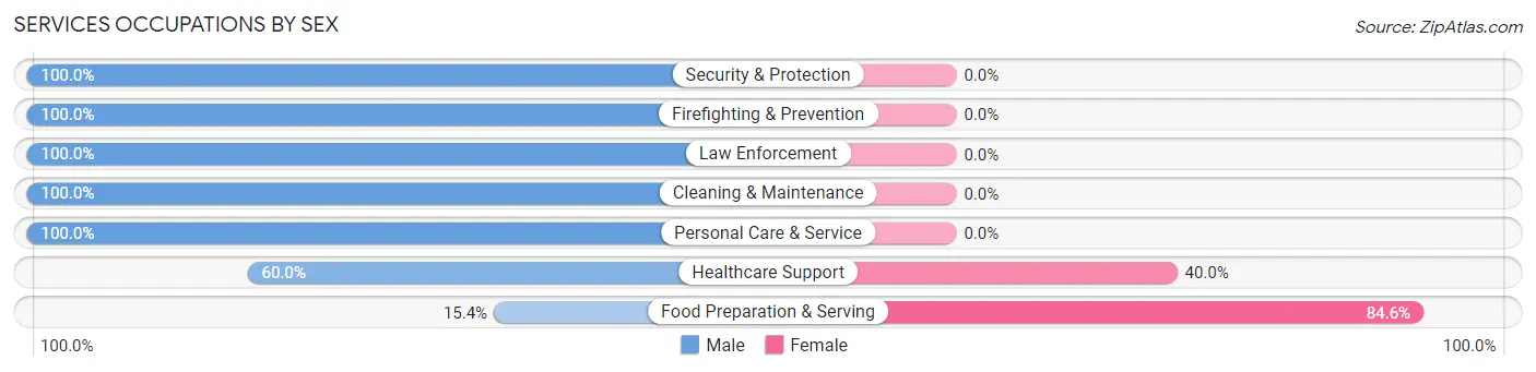 Services Occupations by Sex in Zip Code 08732