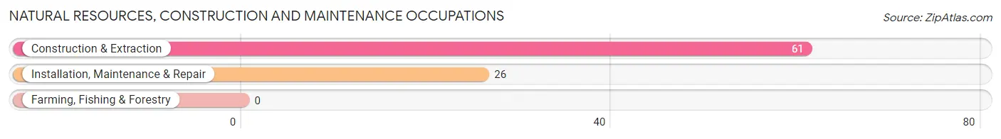 Natural Resources, Construction and Maintenance Occupations in Zip Code 08740