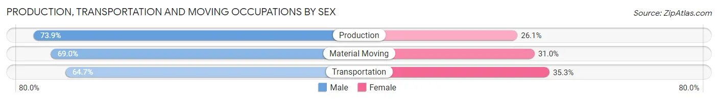 Production, Transportation and Moving Occupations by Sex in Zip Code 08741