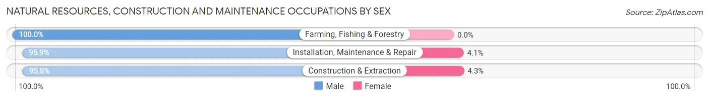 Natural Resources, Construction and Maintenance Occupations by Sex in Zip Code 08755