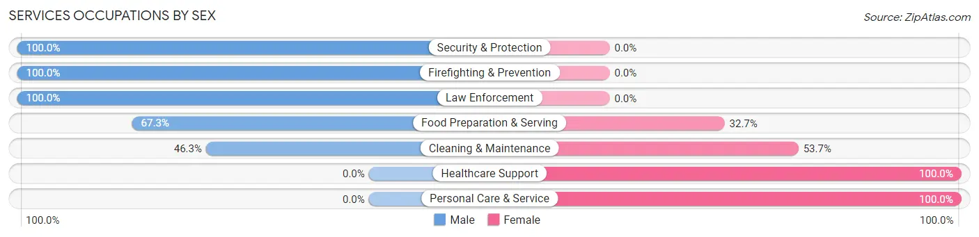 Services Occupations by Sex in Zip Code 08758