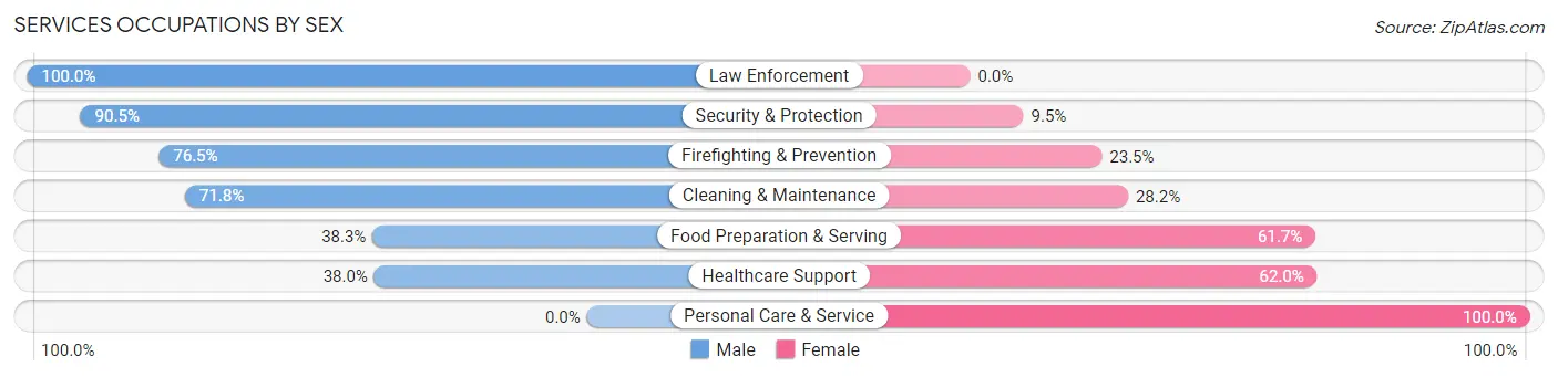 Services Occupations by Sex in Zip Code 08804