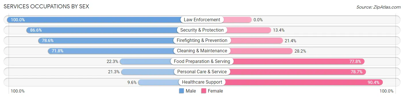 Services Occupations by Sex in Zip Code 08807