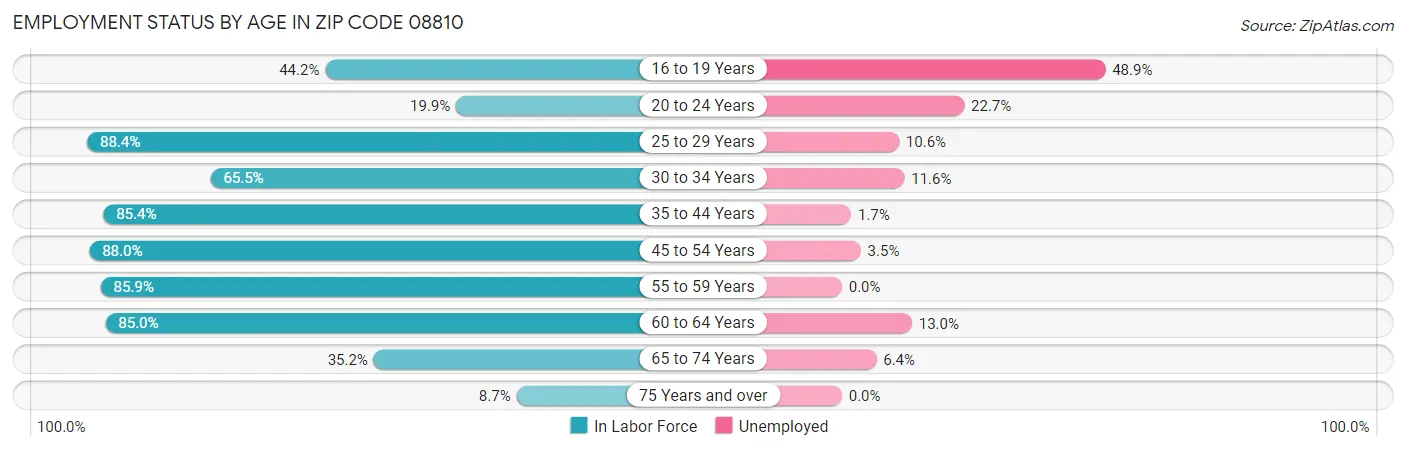 Employment Status by Age in Zip Code 08810