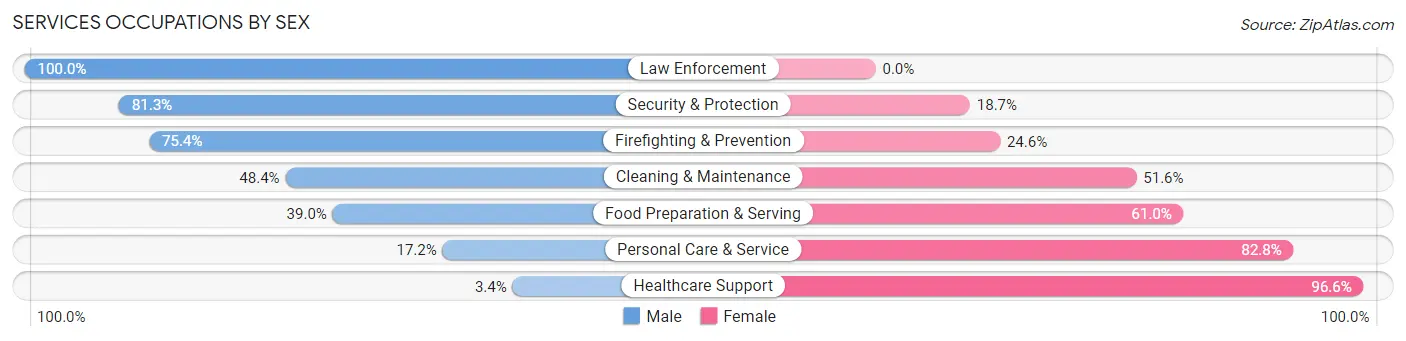 Services Occupations by Sex in Zip Code 08820