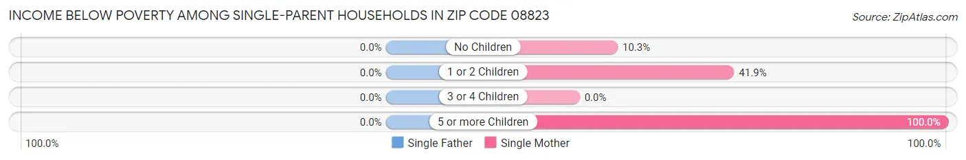 Income Below Poverty Among Single-Parent Households in Zip Code 08823
