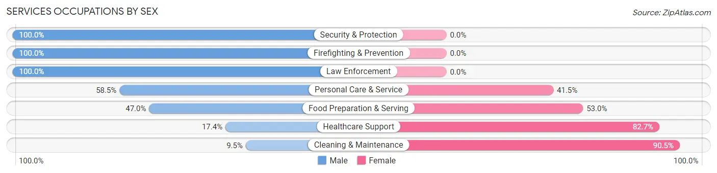 Services Occupations by Sex in Zip Code 08823