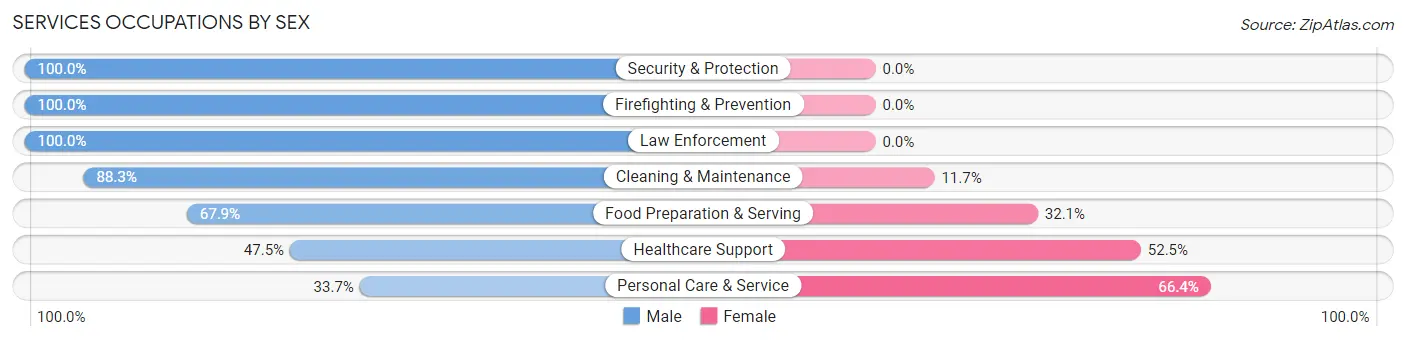 Services Occupations by Sex in Zip Code 08826