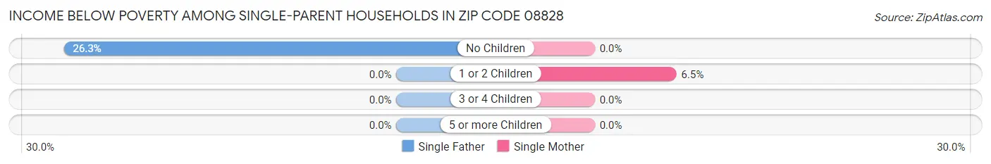 Income Below Poverty Among Single-Parent Households in Zip Code 08828