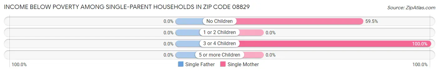 Income Below Poverty Among Single-Parent Households in Zip Code 08829