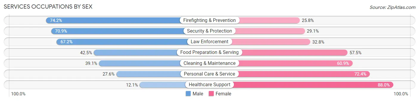 Services Occupations by Sex in Zip Code 08861