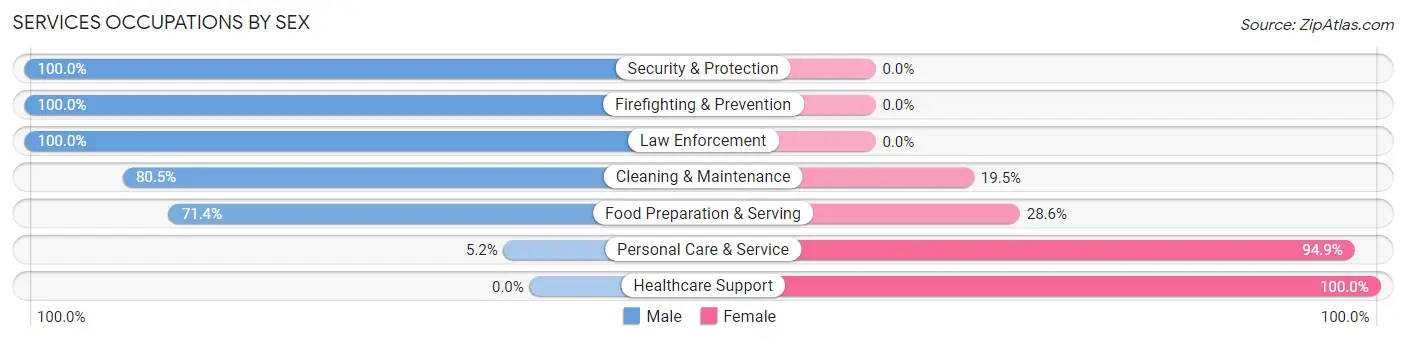 Services Occupations by Sex in Zip Code 08880