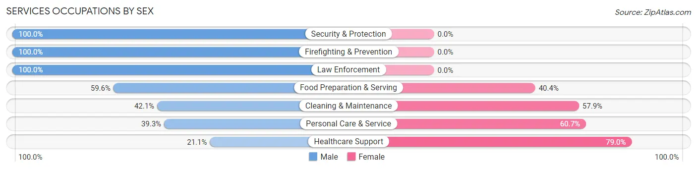 Services Occupations by Sex in Zip Code 08889