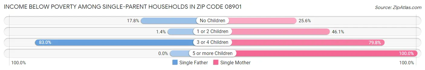 Income Below Poverty Among Single-Parent Households in Zip Code 08901